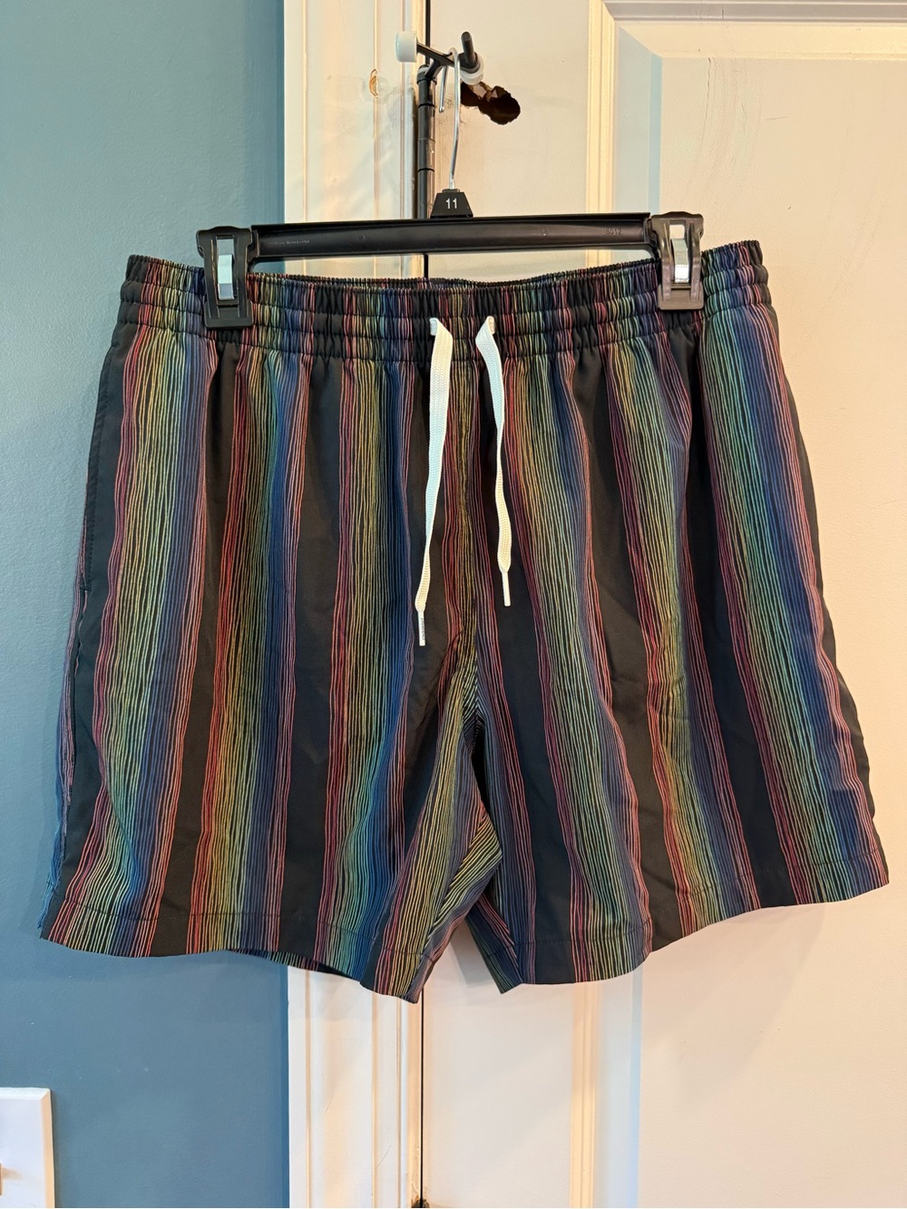 Chubbies 5.5” Swim Trunks